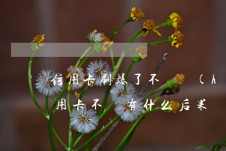 信用卡刷爆了不還會(huì)坐牢嗎(刷信用卡不還有什么后果)
