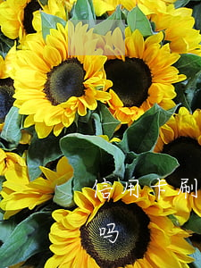 信用卡刷爆了会逾期吗 信用卡刷爆了会逾期吗