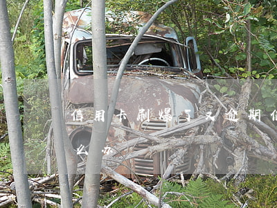 信用卡刷爆了又逾期(信用卡刷爆了又逾期怎么办)