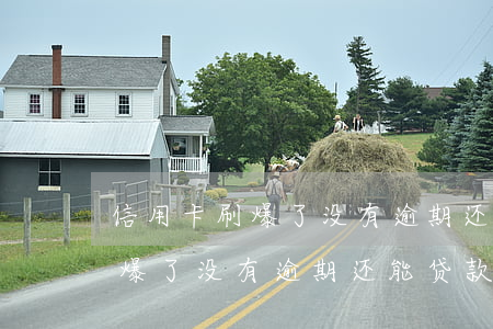 信用卡刷爆了没有逾期还能贷款吗 信用卡刷爆了没有逾期还能贷款吗