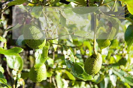 信用卡刷空但是沒有逾期(信用卡全部刷空但沒有逾期)