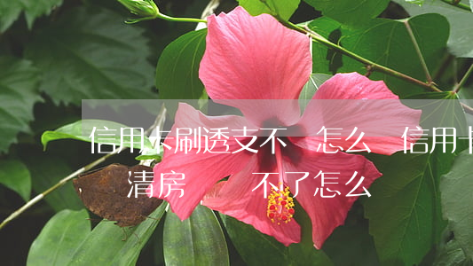 信用卡刷透支不還怎么辦(信用卡透支沒辦法還清,房貸過不了怎么辦)