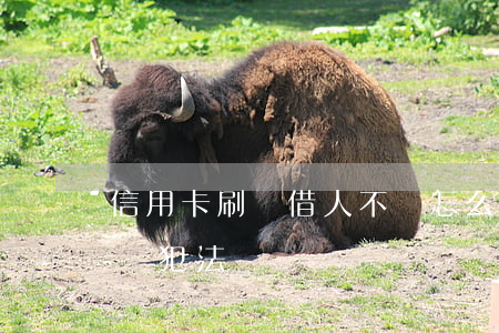 信用卡刷錢借人不還怎么辦(刷別人信用卡不還犯法嗎)