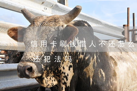 信用卡刷钱借人不还怎么办(刷别人信用卡不还犯法吗)