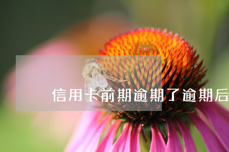 信用卡前期逾期了(逾期后信用卡還能用嗎)