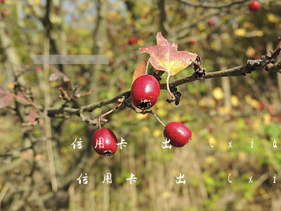 信用卡剛出現(xiàn)一次逾期怎么辦 信用卡剛出現(xiàn)一次逾期怎么辦啊