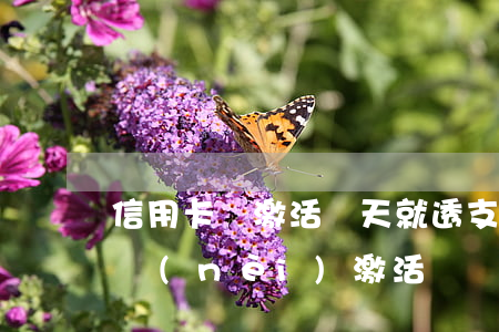 信用卡剛激活幾天就透支(信用卡必須多久之內(nèi)激活)