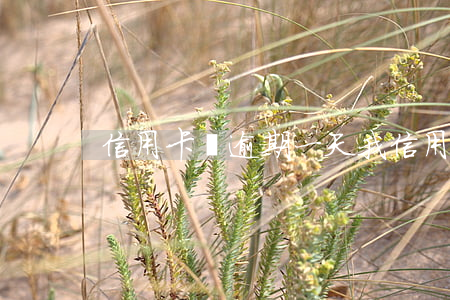 信用卡剛逾期一天(我信用卡逾期一天可以嗎)