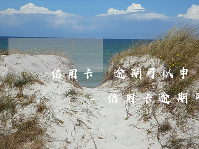 信用卡剛逾期可以申請(qǐng)停息掛賬嗎-信用卡逾期可以申請(qǐng)停息掛賬嗎?