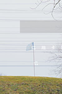信用卡剛逾期就上征信(信用卡剛逾期就上征信)