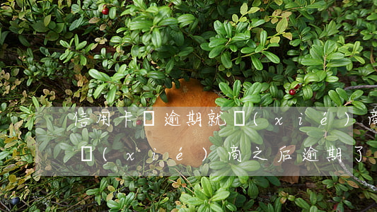 信用卡剛逾期就協(xié)商好嗎(信用卡協(xié)商之后逾期了)