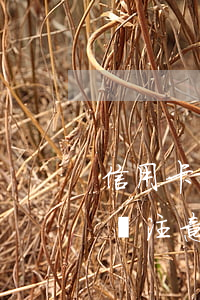 信用卡剛逾期應(yīng)對(duì)(沒注意信用卡逾期了)