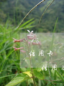 信用卡剛逾期無力償還怎么協(xié)商-信用逾期無力償還協(xié)商還款的最佳時間