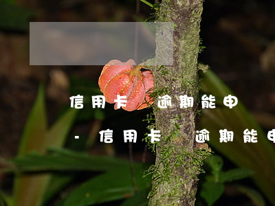 信用卡剛逾期能申請個(gè)性化分期嗎-信用卡剛逾期能申請個(gè)性化分期嗎