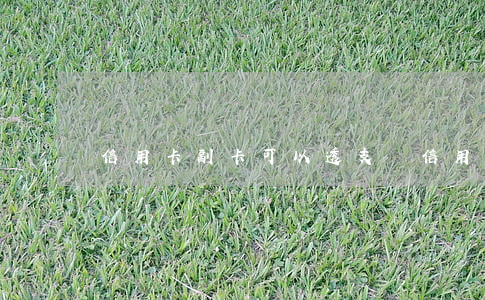信用卡副卡可以透支嗎(信用卡副卡什么意思)