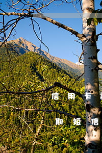 信用卡副卡收到逾期短信 信用卡副卡收到逾期短信怎么辦