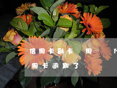 信用卡副卡沒用過為什么顯示逾期(沒注意信用卡逾期了)