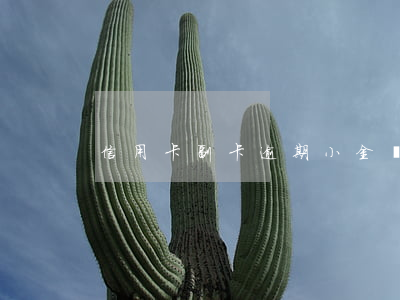 信用卡副卡逾期小金額多久消除