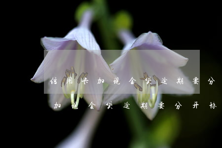 信用卡加现金贷逾期要分开协商吗-信用卡加现金贷逾期要分开协商吗怎么办