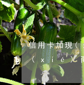 信用卡加現(xiàn)金貸逾期要分開協(xié)商嗎-信用卡加現(xiàn)金貸逾期要分開協(xié)商嗎怎么辦