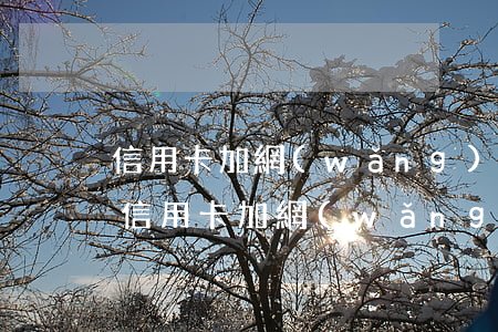 信用卡加網(wǎng)貸欠15萬怎么還(信用卡加網(wǎng)貸欠15萬怎么還)