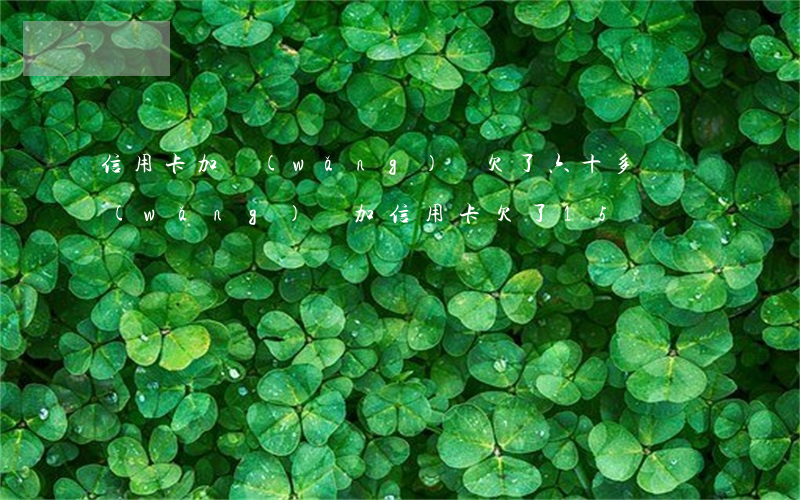 信用卡加網(wǎng)貸欠了六十多萬(網(wǎng)貸加信用卡欠了15萬)
