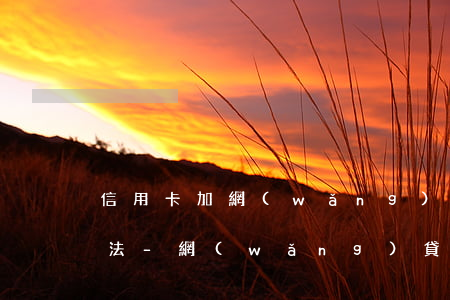 信用卡加網(wǎng)貸欠二十萬自救方法-網(wǎng)貸加信用卡欠款20萬該怎么辦