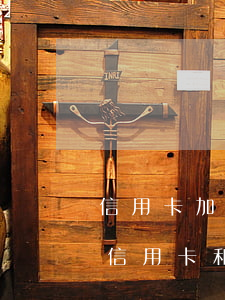 信用卡加网贷欠了5万算多吗(欠了8万多的信用卡和网贷怎么办)