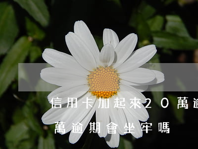 信用卡加起來20萬逾期(信用卡加起來20萬逾期會坐牢嗎)