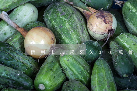 信用卡加起來欠30萬會判幾年-