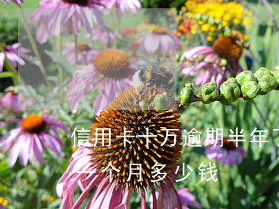信用卡十万逾期半年了-10万信用卡逾期一个月多少钱