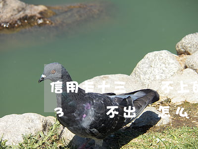 信用卡十三萬還不上的判多少年-信用卡13萬,還不出來,怎么辦