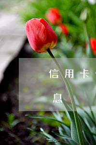信用卡十元逾期4天(信用卡十元逾期4天罰息)