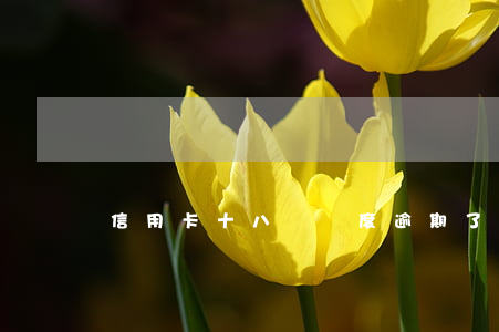 信用卡十八萬額度逾期了(信用卡逾期12萬)