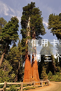 信用卡十几元逾期三个月-信用卡十几元逾期三个月