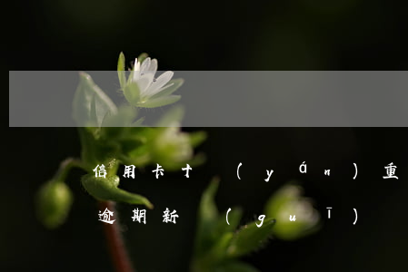 信用卡十嚴(yán)重逾期(10月信用卡逾期新規(guī))