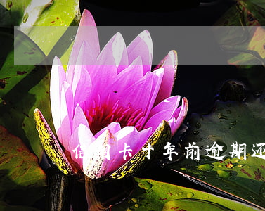 信用卡十年前逾期还款后未解冻