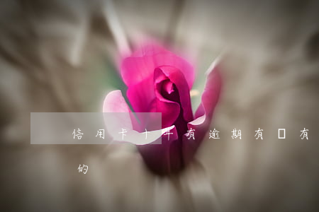 信用卡十年有逾期 有沒有信用卡逾期10年的