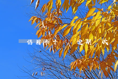 信用卡十幾塊逾期兩次(幾千塊信用卡逾期)