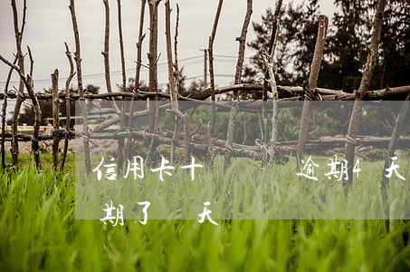 信用卡十幾塊錢逾期4天(信用卡十幾塊錢逾期了幾天)