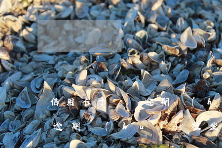信用卡十幾張逾期會(huì)坐牢(信用卡逾期會(huì)被坐牢嗎)