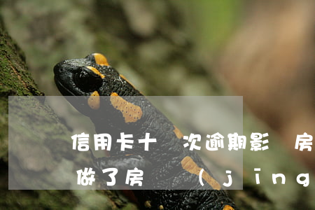 信用卡十幾次逾期影響房貸(6次信用卡逾期做了房貸經(jīng)歷)