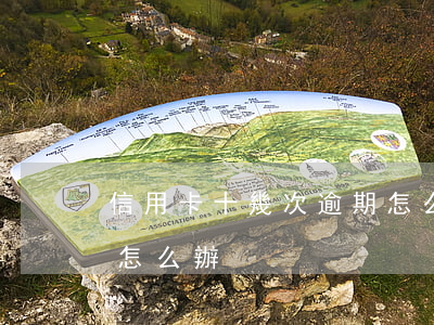 信用卡十幾次逾期怎么辦(信用卡十幾次逾期怎么辦)