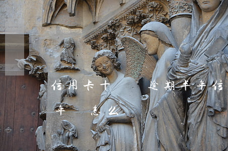 信用卡十幾萬逾期半年(信用卡十幾萬逾期半年會怎么樣)