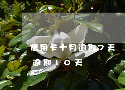 信用卡十月逾期7天補救 信用卡10000逾期10天