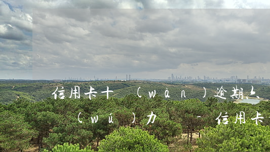 信用卡十萬(wàn)逾期六個(gè)月無(wú)力償還-信用卡十萬(wàn)逾期六個(gè)月無(wú)力償還怎么辦