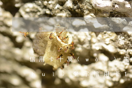 信用卡十萬(wàn)逾期被起訴是否會(huì)坐牢(信用卡10萬(wàn)逾期會(huì)坐牢嗎)