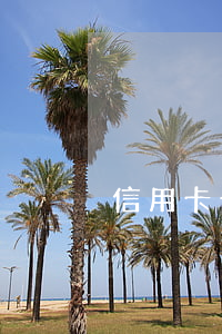信用卡十萬逾期利息(信用卡10萬逾期)
