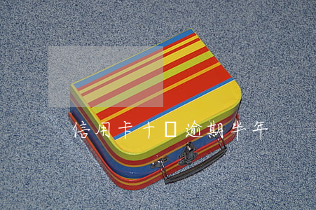 信用卡十萬逾期半年
