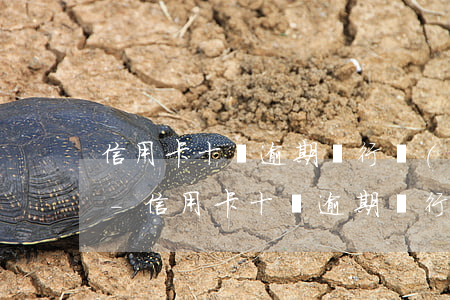 信用卡十萬逾期銀行報(bào)案怎么辦-信用卡十萬逾期銀行報(bào)案怎么辦理
